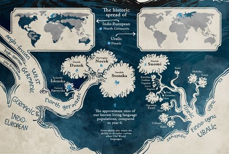 Божественної краси інфографіка, яка розповідає про походження мов